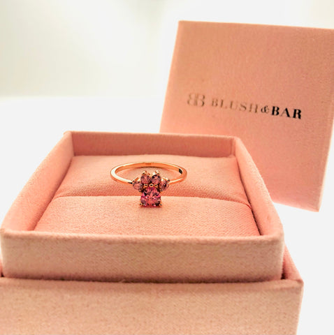 Bella Paw Blush & Bar Sterling Silver Ring - Rose Gold