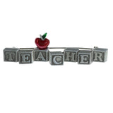 Teacher Kids Blocks Apple  Brooch-Pin Silver-Tone & Red Colored #LQP1350