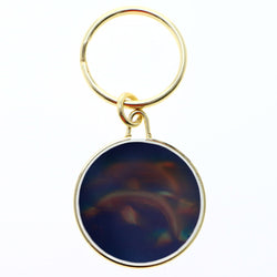 Dolphin Hologram Split-Ring-Keychain Gold-Tone/Clear